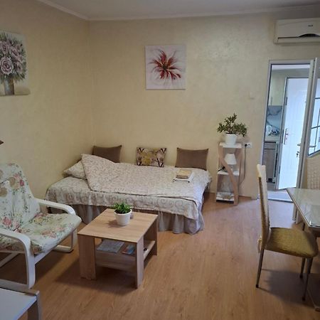 Apartment Sleep'N Drive Belgrado Esterno foto